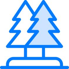 Pines