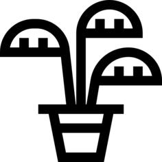 Bamboo