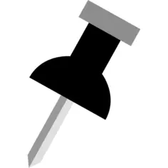Pin
