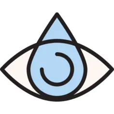 Eye