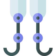 Prothesis