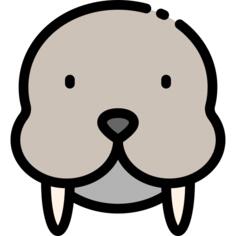 Walrus
