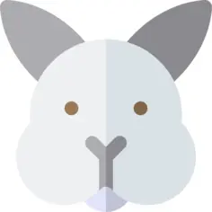 兔子