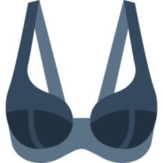 Brassiere