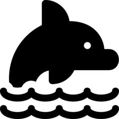 Dolphin