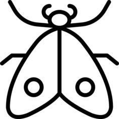 Moth