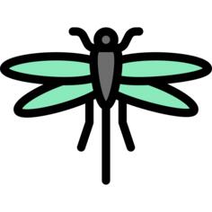 Dragon fly