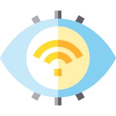 Eye