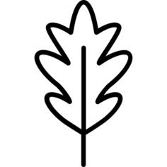 Leaf