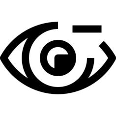 Eye