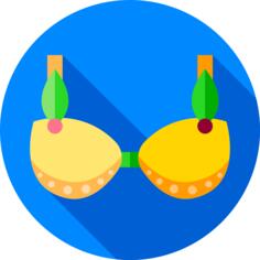 Brassiere