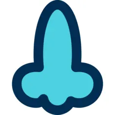 Nose