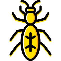 Ant