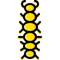 Caterpillar