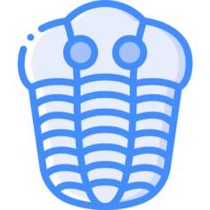Shellfish