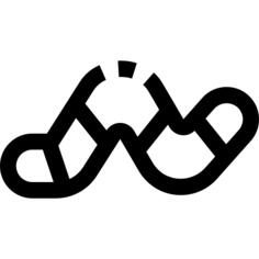 Worm