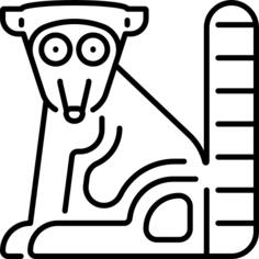 狐猴