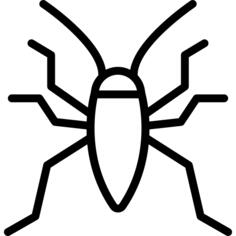 Bedbug