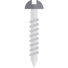 Screw