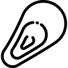 Mussel