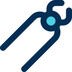 Forceps