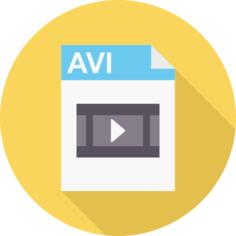 Avi
