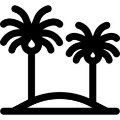 Palm trees