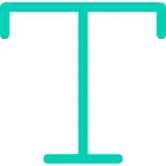 Text