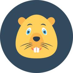 Beaver