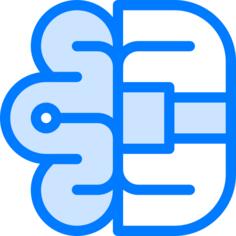 Brain