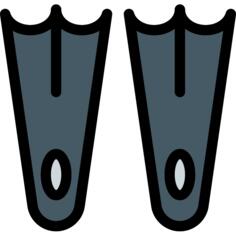Flippers