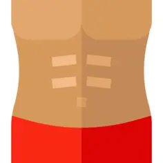 Body