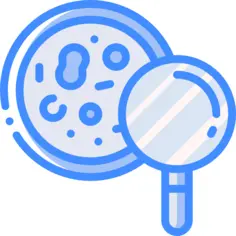 Petri dish