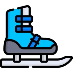 Ice skate