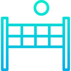 Volley net