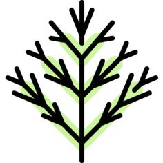 Dill