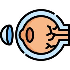 Eye