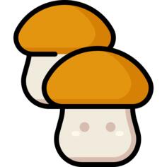 Mushroom
