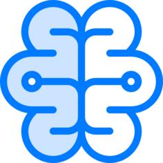 Brain