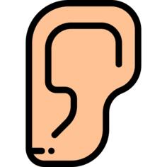 Ear