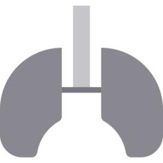 Lungs
