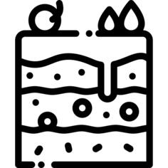 Cake slice