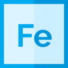 Project felix