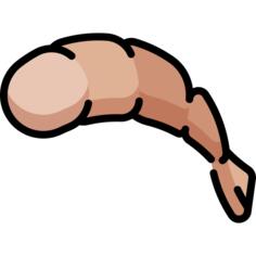 Shrimp