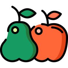 Fruit
