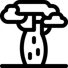 Baobab