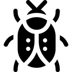 Ladybug