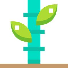 Bamboo