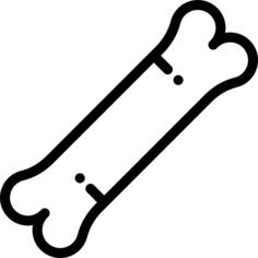 Bone
