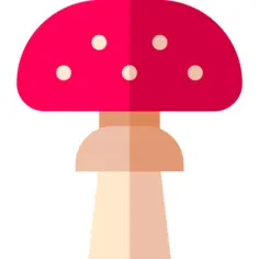 Amanita
